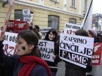 Pokladni prosvjed protiv krzna u Ljubljani 20 [ 51.63 Kb ]