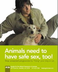 Animals need to have safe sex, too! [ 48.17 Kb ]