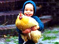 Dijete i kokoš [ 17.51 Kb ]