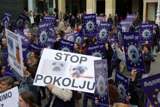 Prosvjed u Zagrebu protiv pokolja tuljana 2 [ 107.51 Kb ]