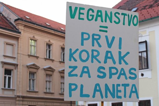 Prosvjed za klimu u Zagrebu [ 880.73 Kb ]