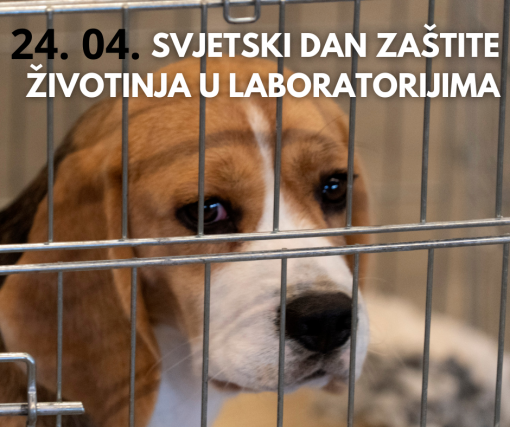 dan zaštite životinja u laboratorijima [ 1.02 Mb ]