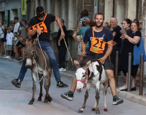 donkey race [ 150.12 Kb ]