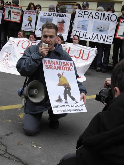 'Krvavi' aktivisti za krvave bebe tuljana 2