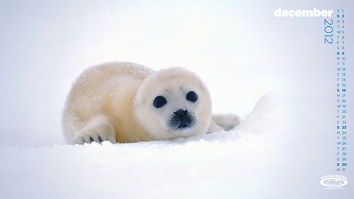 Calendar for December