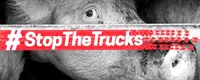 stop the trucks [ 2.30 Kb ]