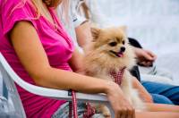 Foto: Matej �elar [ 444.84 Kb ]