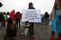 March for the animals, photo: Jelena Rasic [ 357.52 Kb ]