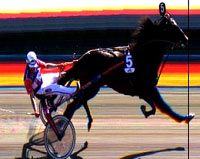 Konjska utrka 1 [ 18.33 Kb ]