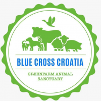 Plavi kri� logo [ 510.31 Kb ]