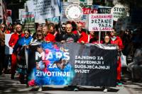 Mar� za �ivotinje 2024_foto Matej Marijanovi� [ 326.70 Kb ]