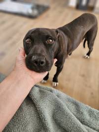 foto azil dubrovnik [ 297.70 Kb ]