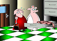 Post mortem identifikacija [ 45.48 Kb ]