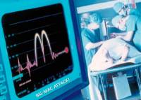 Big mac napada [ 32.02 Kb ]