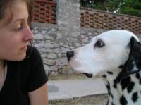 �ivotinje su osje�ajna bi�a [ 34.49 Kb ]