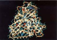 Modeliranje kemikalija na kompjutorima [ 76.67 Kb ]