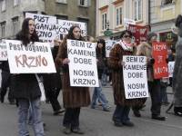 Pokladni prosvjed protiv krzna u Ljubljani 9 [ 51.41 Kb ]