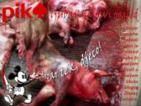 Dobar tek [ 549.25 Kb ]