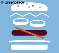 Greenpeace 5