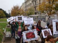 Protest against live animal transport 12 [ 141.91 Kb ]