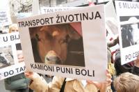 Protest against live animal transport Index.hr 2 [ 86.22 Kb ]