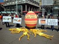 Easter action against the killing of male chicks