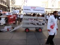 Demo against animal transport 2009. [ 475.48 Kb ]