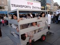 Prosvjed protiv transporta životinja 2009. [ 478.87 Kb ]