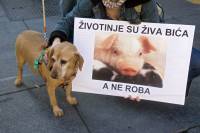 Demo against animal transport 2009. [ 380.87 Kb ]