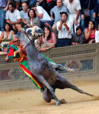 Utrke konja, Izvor: guim.co.uk.-the Palio horse race [ 73.33 Kb ]