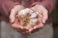 �e�njak [ 147.17 Kb ]