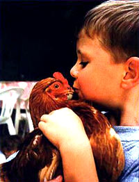Dječak i kokoš [ 26.35 Kb ]