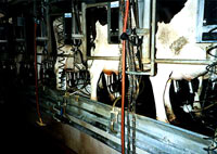 Industrija mlijeka [ 31.53 Kb ]