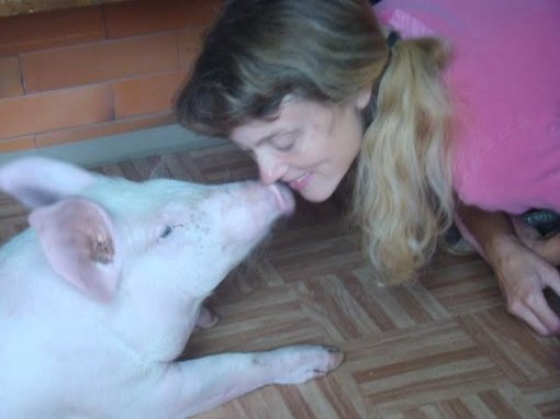 Odi, Ksenija, Koki [ 29.25 Kb ]