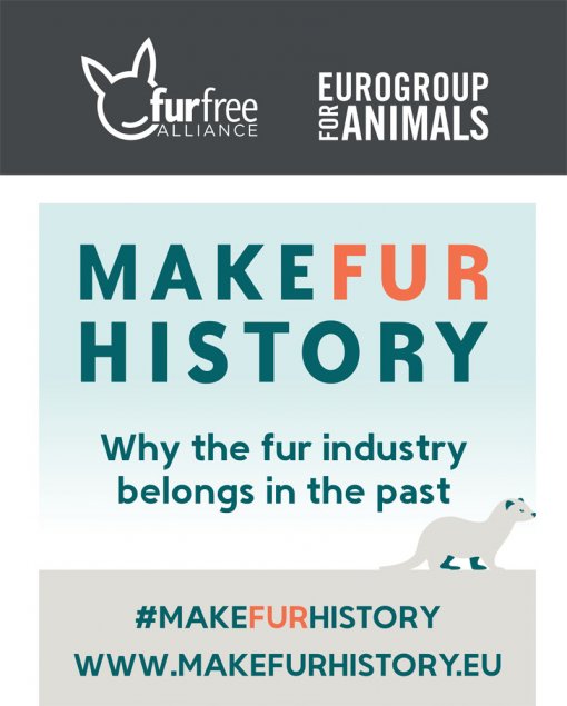 Make Fur History [ 112.59 Kb ]