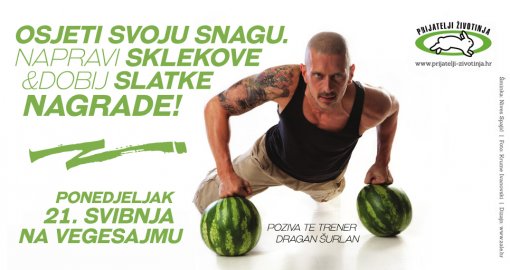 Nagrade za sklekove na bundevama na VegeSajmu! [ 292.26 Kb ]