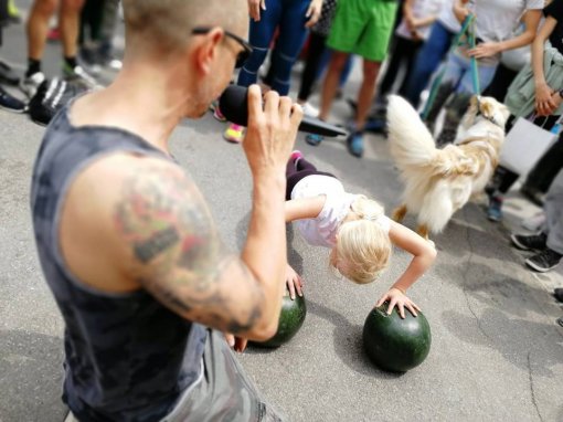 Nagrade za sklekove na bundevama na VegeSajmu! [ 81.35 Kb ]