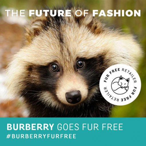 Burberry drops fur [ 129.05 Kb ]