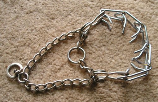 Prstenasta ogrlica [ 113.85 Kb ]