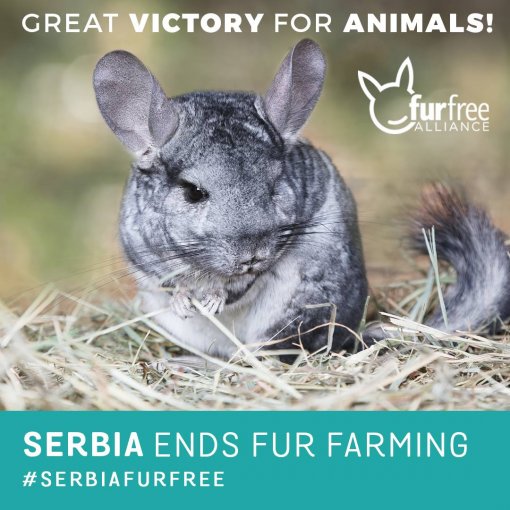 Zabrana uzgoja životinja za krzno u Srbiji [ 147.07 Kb ]