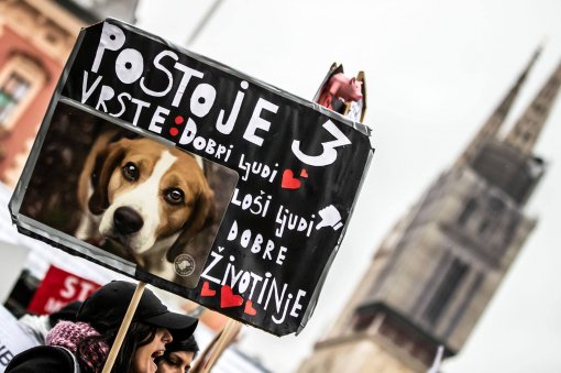 Transparent - Mar� za �ivotinje [ 238.06 Kb ]