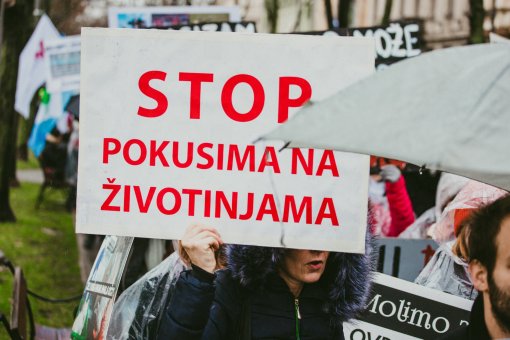 Transparent - Mar� za �ivotinje [ 330.14 Kb ]