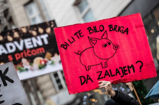 Transparent - Mar� za �ivotinje [ 251.57 Kb ]