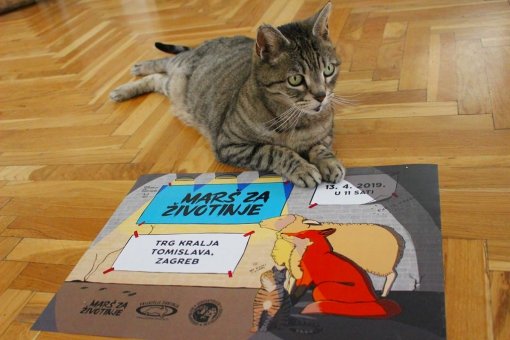 Poziv na Mar� za �ivotinje [ 98.64 Kb ]