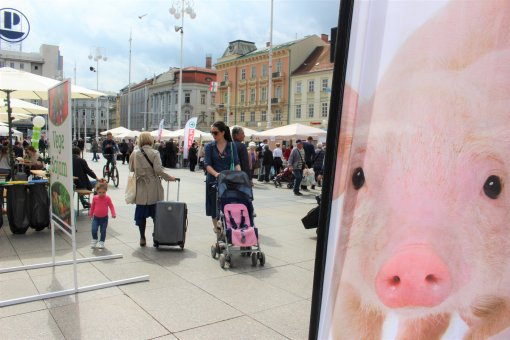 VegeSajam 2019 [ 702.39 Kb ]