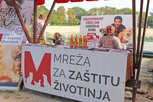 Vege piknik [ 1.04 Mb ]