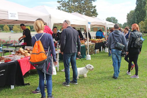 Vege piknik [ 1.48 Mb ]