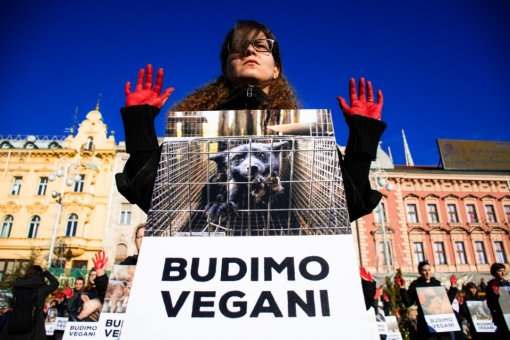 Obri�imo krv s na�ih ruku. Budimo vegani 19 [ 200.47 Kb ]