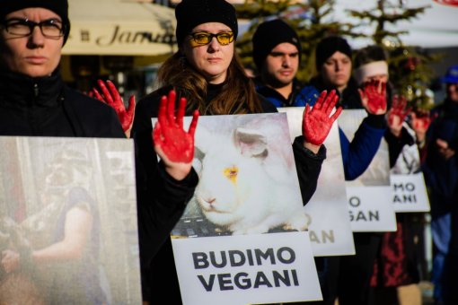 Obri�imo krv s na�ih ruku. Budimo vegani 21 [ 154.06 Kb ]