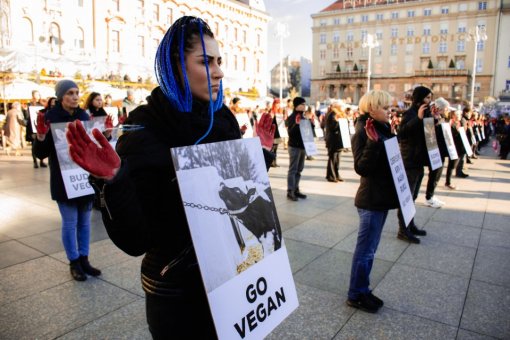 Obri�imo krv s na�ih ruku. Budimo vegani 26 [ 205.90 Kb ]